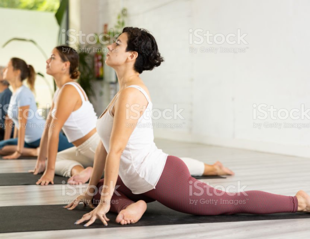 Group of women in a yoga studio sitting on mats doing yoga poses